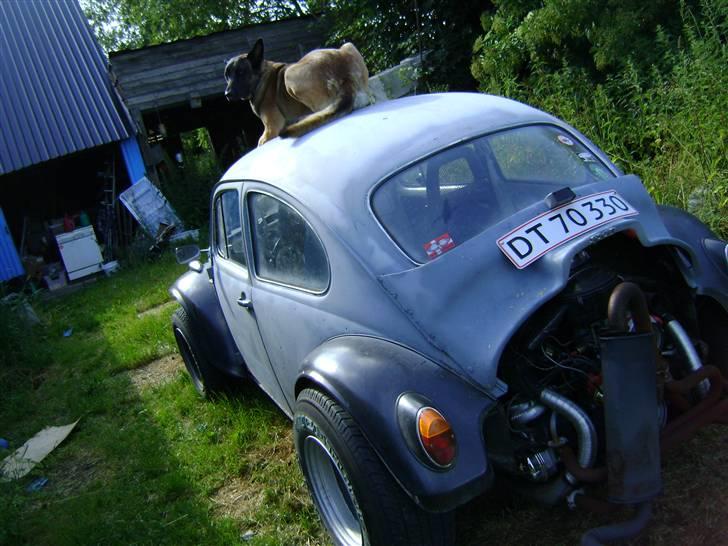 VW 113 / Baja  ***SOLGT*** - muggen malle på taget igen... billede 6