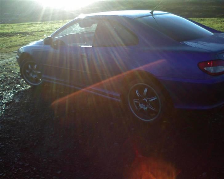 Peugeot 406 coupe "solgt" billede 16