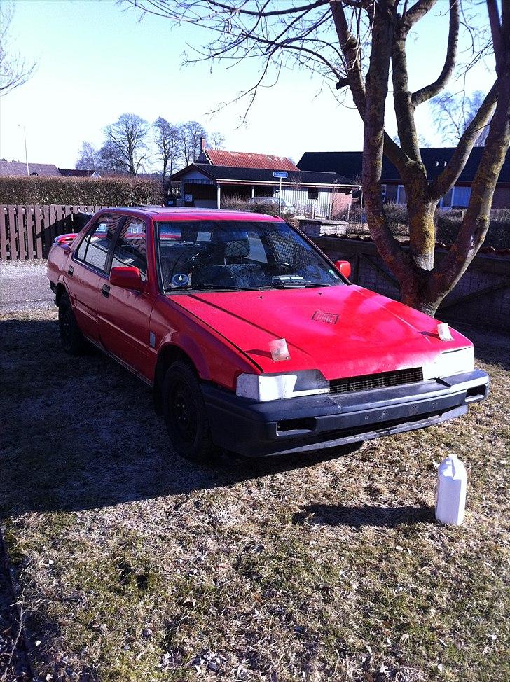 Honda accord (folkerace) billede 1