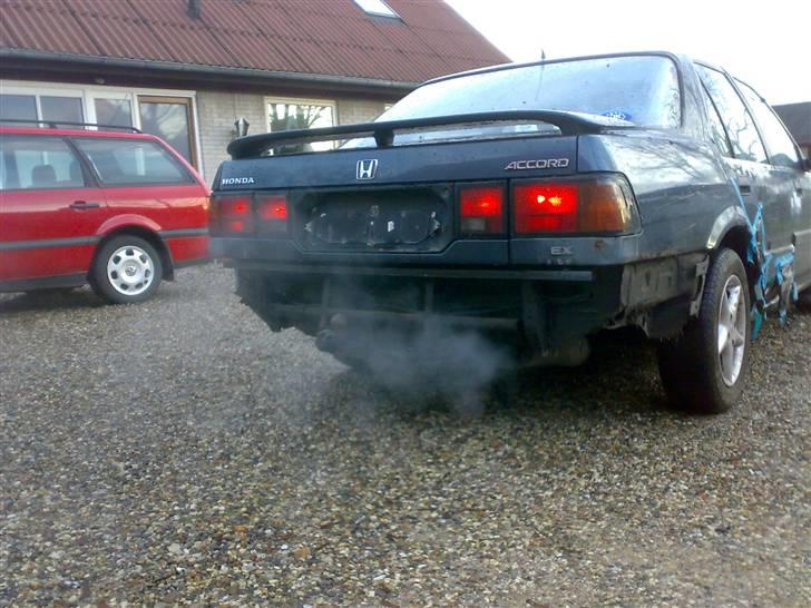 Honda accord (folkerace) billede 4