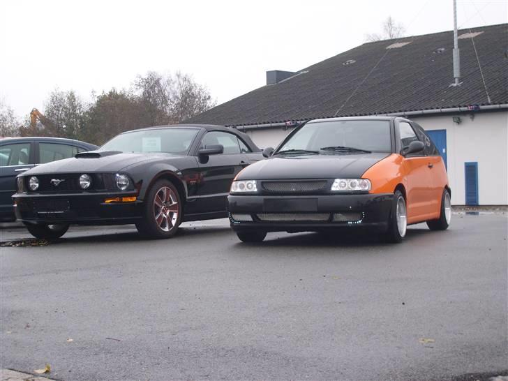 Seat Ibiza . SOLGT billede 14