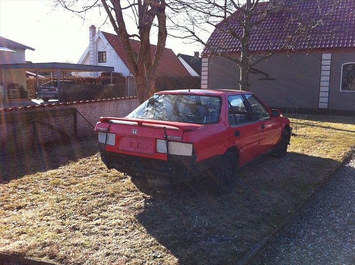 Honda accord (folkerace) billede 7