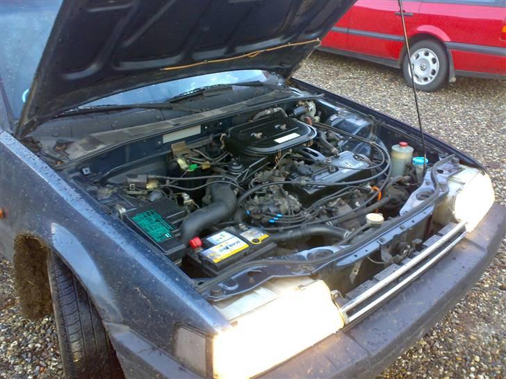 Honda accord (folkerace) billede 11