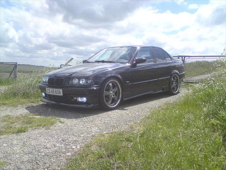 BMW 318 i SOLGT billede 10