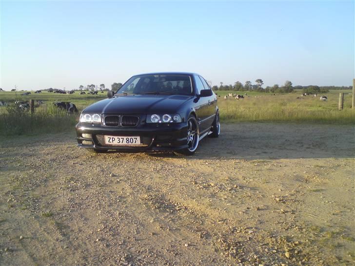 BMW 318 i SOLGT billede 14