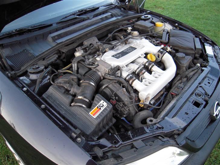 Opel vectra B 2,5 v6 (Byttede) billede 16