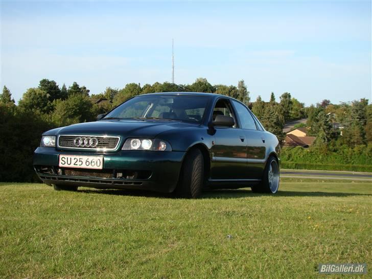 Audi A4 R.I.P billede 1