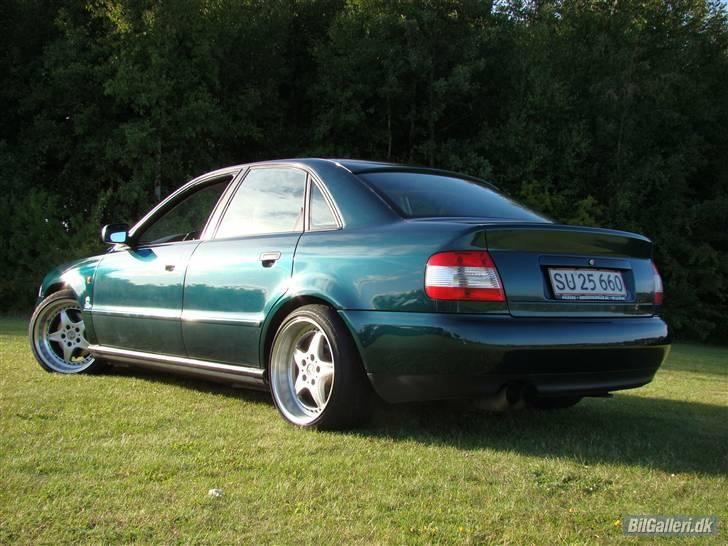 Audi A4 R.I.P billede 12