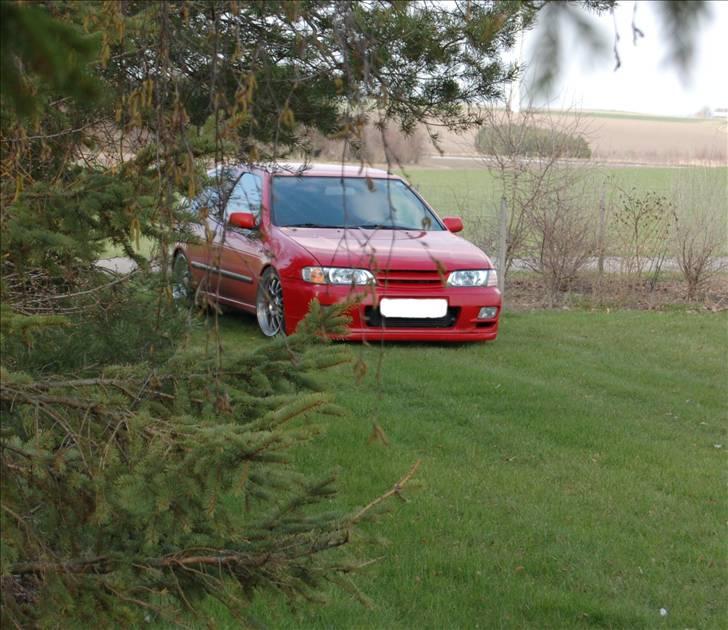 Nissan Almera Gti Turbo (SOLGT) billede 13