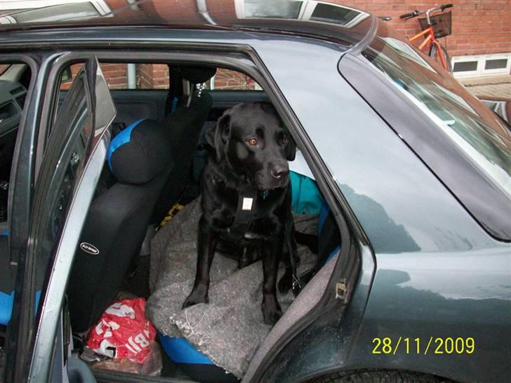 Ford Sierra   -----SOLGT---- - Hundens Plads billede 17