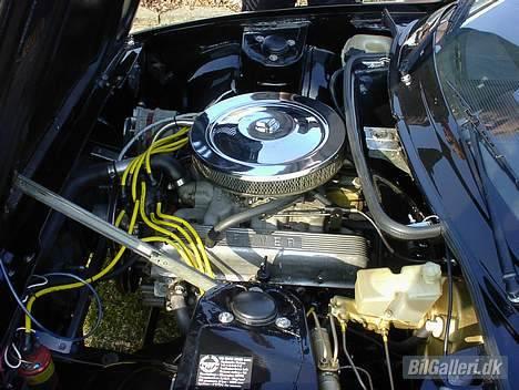Triumph TR7-V8 billede 4