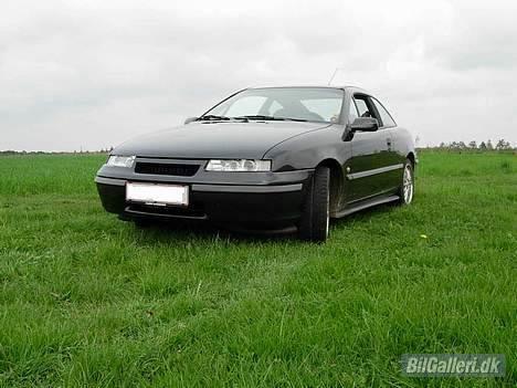 Opel calibra (solgt) billede 5