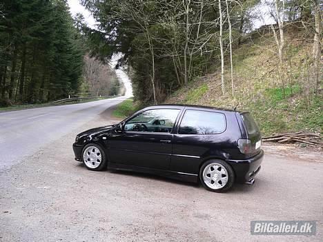 VW Polo billede 9