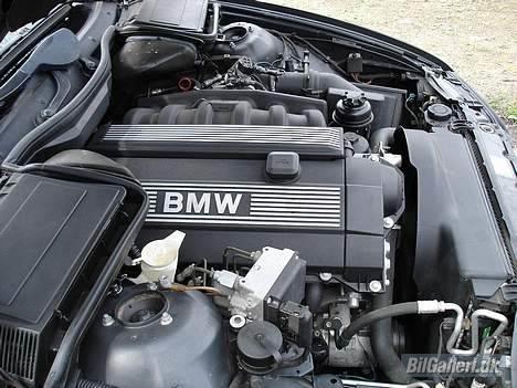 BMW 523i E39 billede 3