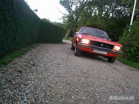 Opel Rekord D - Fronten. Man kan se at blinklygterne er hvide, da det orange glas er afmonteret. billede 14