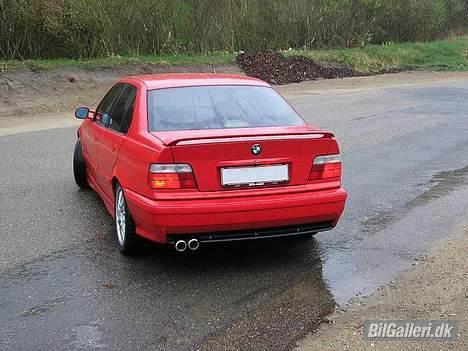 BMW E36 billede 11