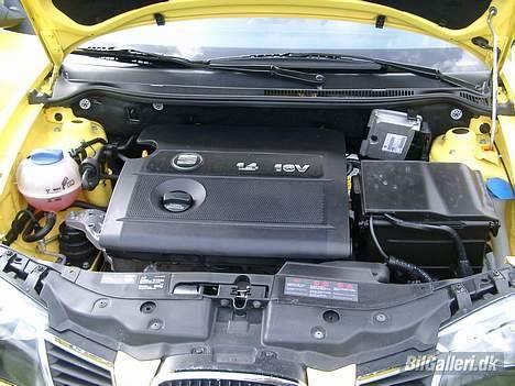 Seat Ibiza (Solgt) - De 75 vilde heste gemmer sig nok hernede et sted! billede 15