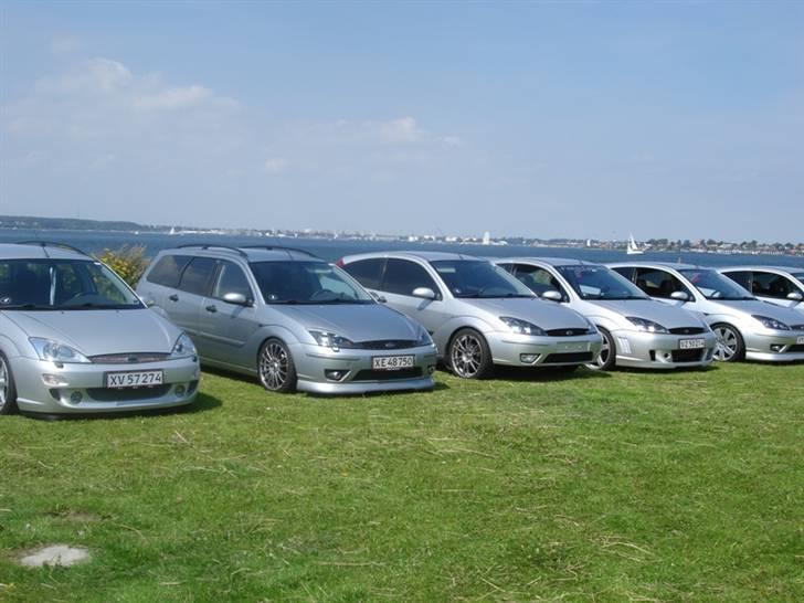 Ford Focus. billede 7