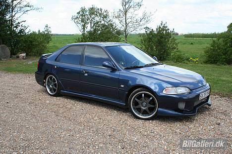 Honda Civic billede 1