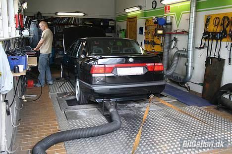 Alfa Romeo 155 Q4 - På rullefelt hos VAE billede 18