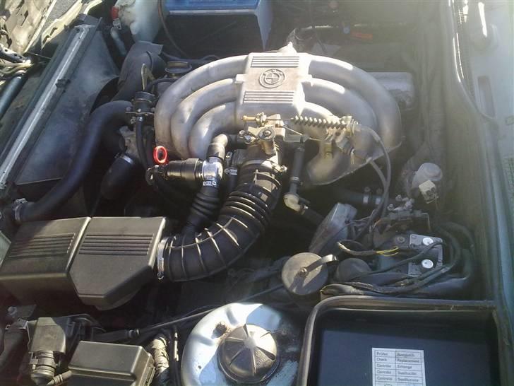 BMW E34 525i M-Optik [Byttet] billede 17