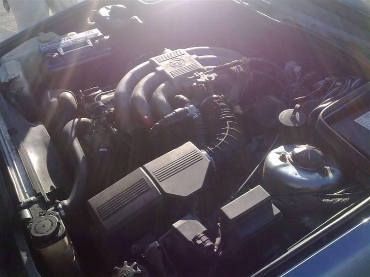 BMW E34 525i M-Optik [Byttet] billede 18