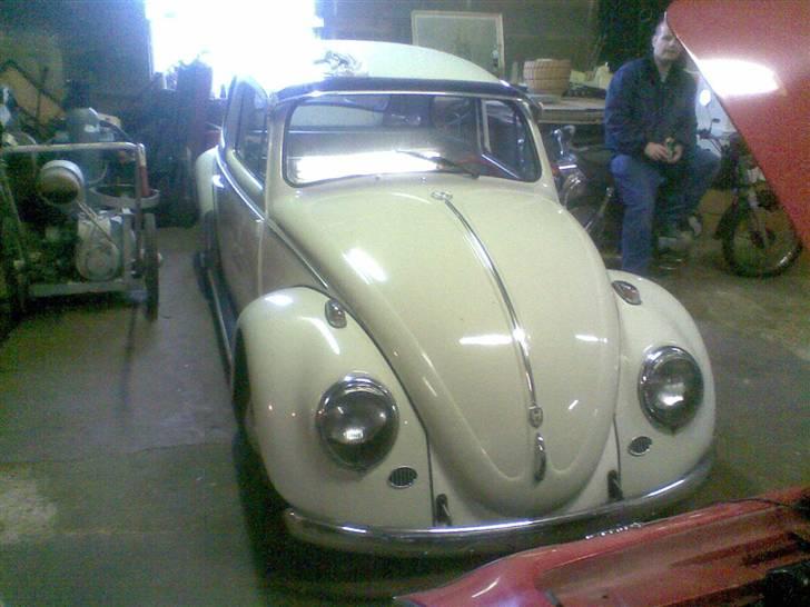 VW bobbel billede 4