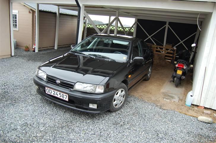 Nissan primera GT billede 5