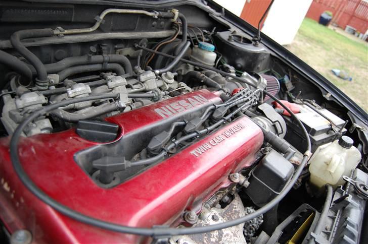 Nissan primera GT billede 9