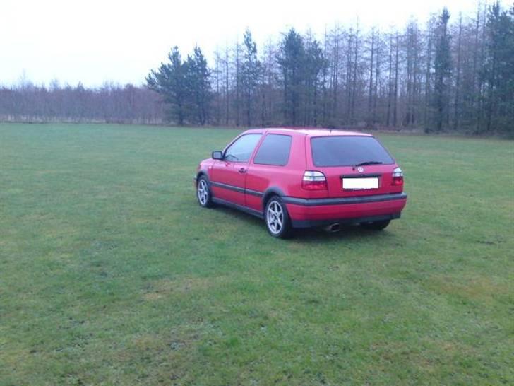 VW Golf 3 1.8 SOLGT billede 4