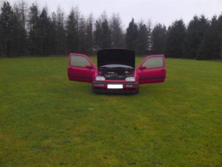 VW Golf 3 1.8 SOLGT billede 6