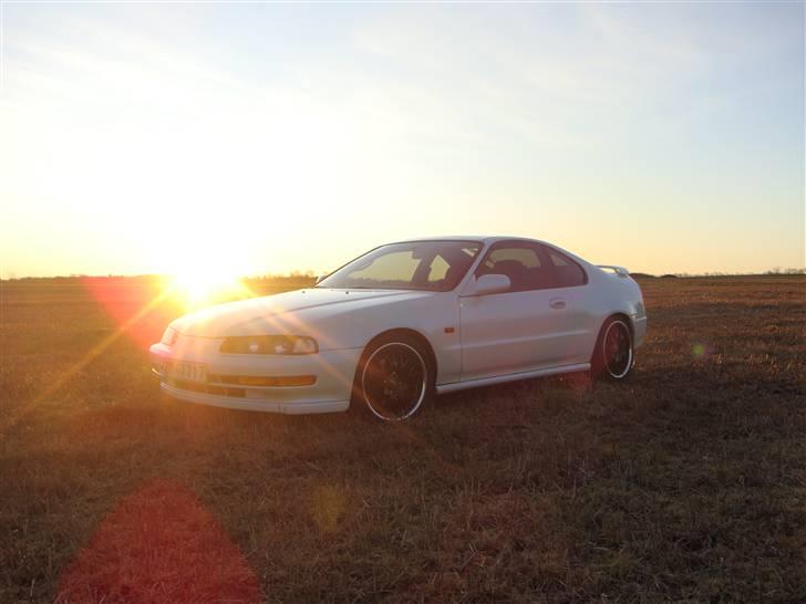 Honda Prelude-Solgt- billede 7