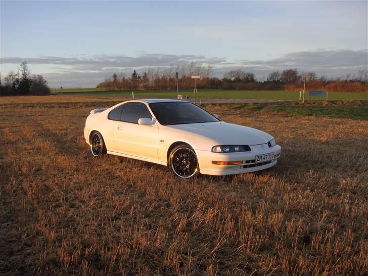 Honda Prelude-Solgt- billede 8