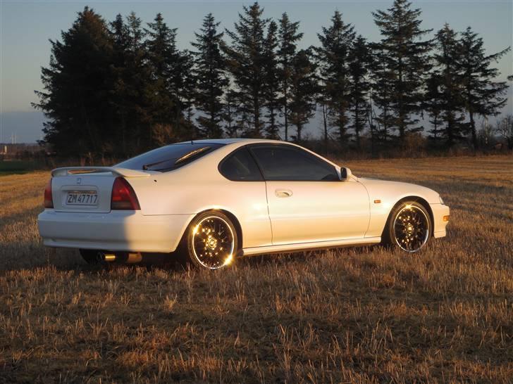 Honda Prelude-Solgt- billede 9