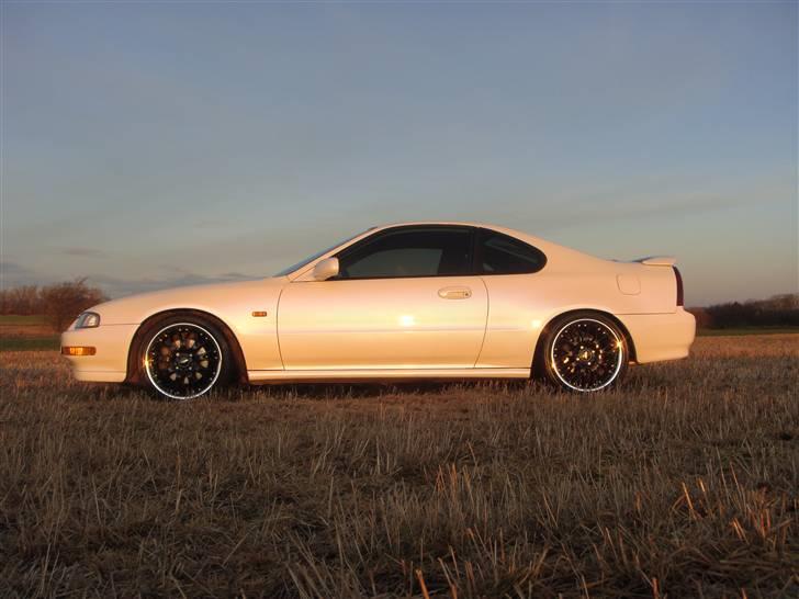 Honda Prelude-Solgt- billede 12