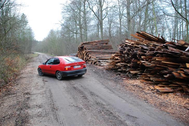 Toyota corolla E10 billede 13