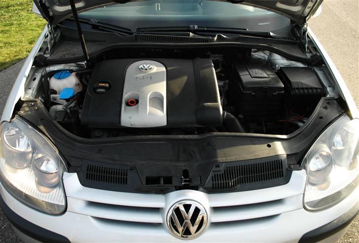 VW Golf 5 FSi (SOLGT) billede 5