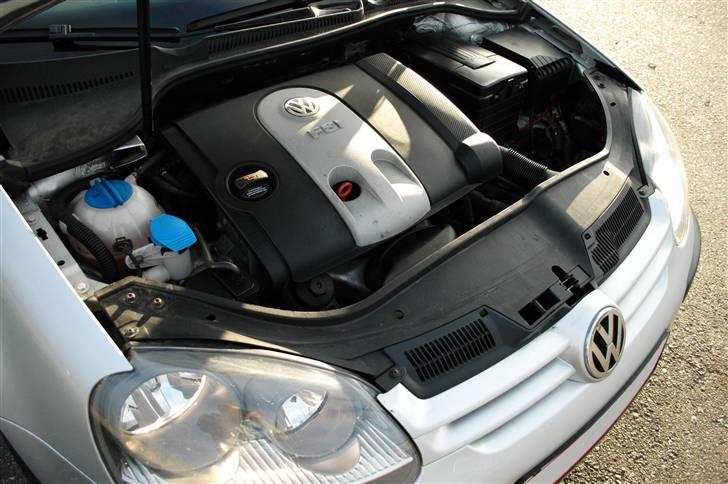 VW Golf 5 FSi (SOLGT) billede 6