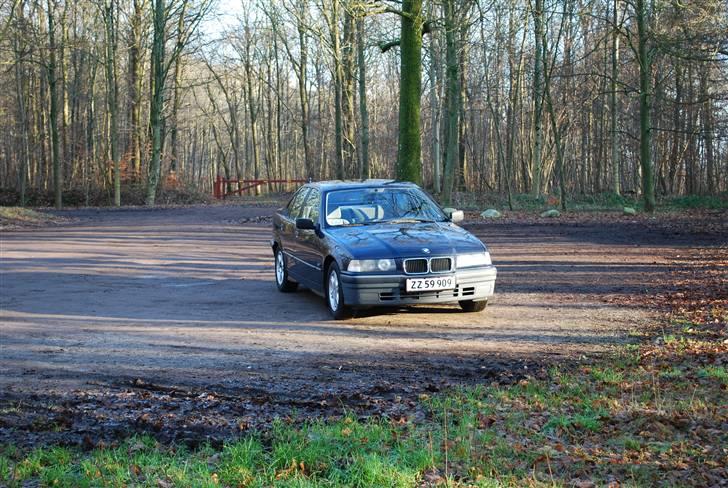 BMW 316i E36  *solgt* billede 9