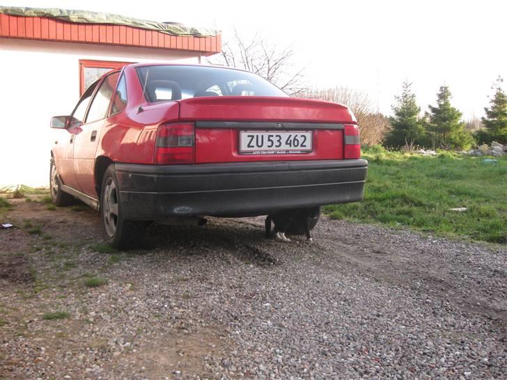 Opel Vectra 2,0i 16v Død - Efter 2000 skørterne kom på. ;) billede 6