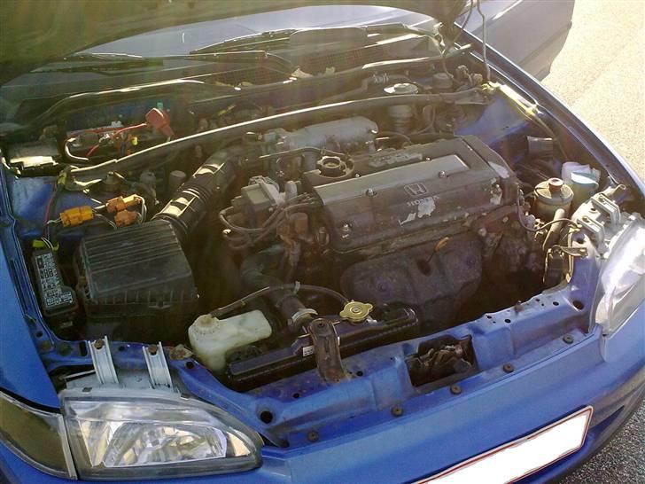 Honda Civic   SOLGT! billede 4