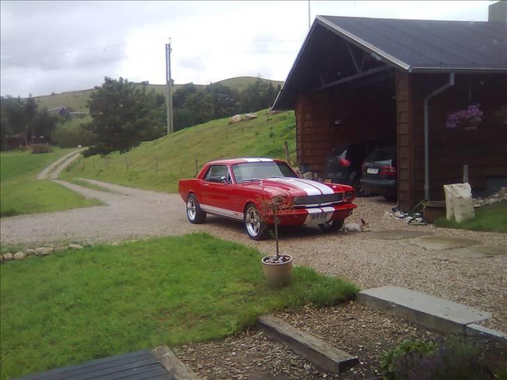 Ford Mustang GT350 ***solgt*** - Kaninen synes godt om musse (o:  billede 11