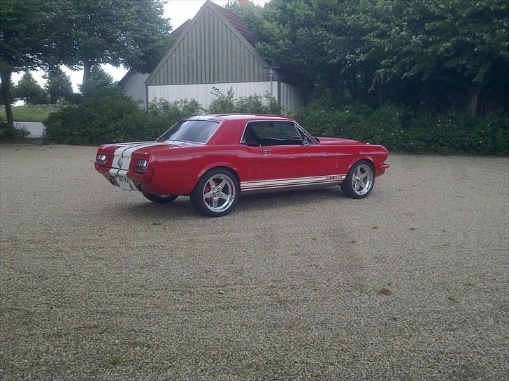 Ford Mustang GT350 ***solgt*** billede 15