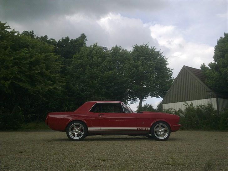 Ford Mustang GT350 ***solgt*** billede 1