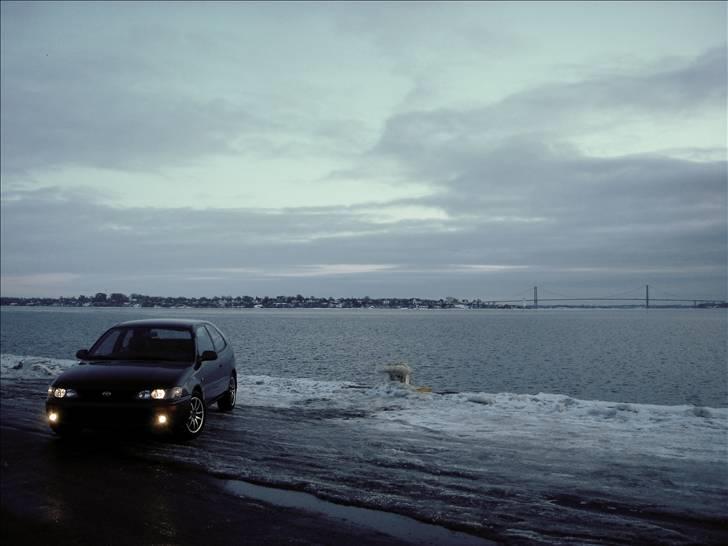 Toyota Corolla SOLGT  billede 1