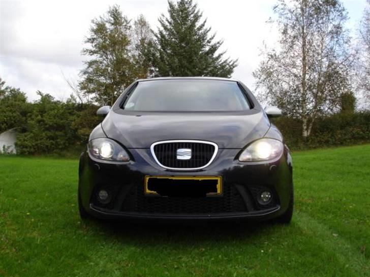 Seat Altea billede 3