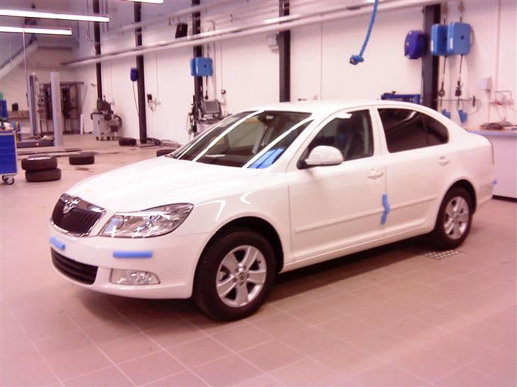 Skoda Octavia Greenline 1.6 TDI. "Solgt" - Lige kommet hjem..... billede 2