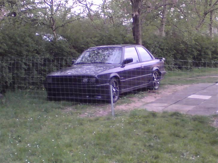 BMW e30 320i billede 6