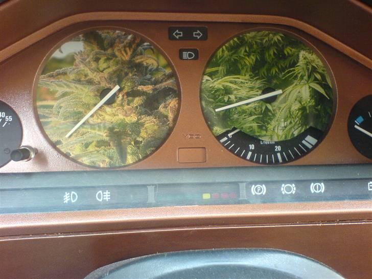 BMW e30 320i billede 9