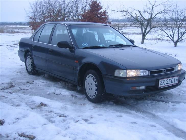 Honda accord (vinterbil) billede 1